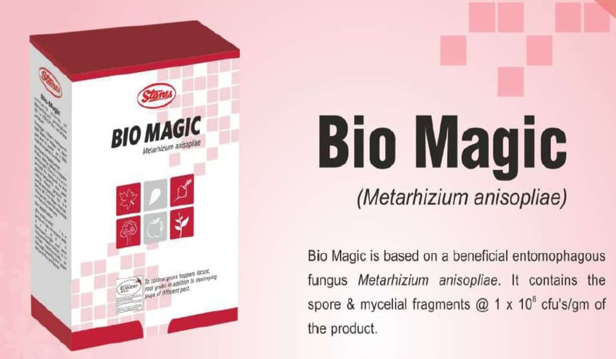 biomagic